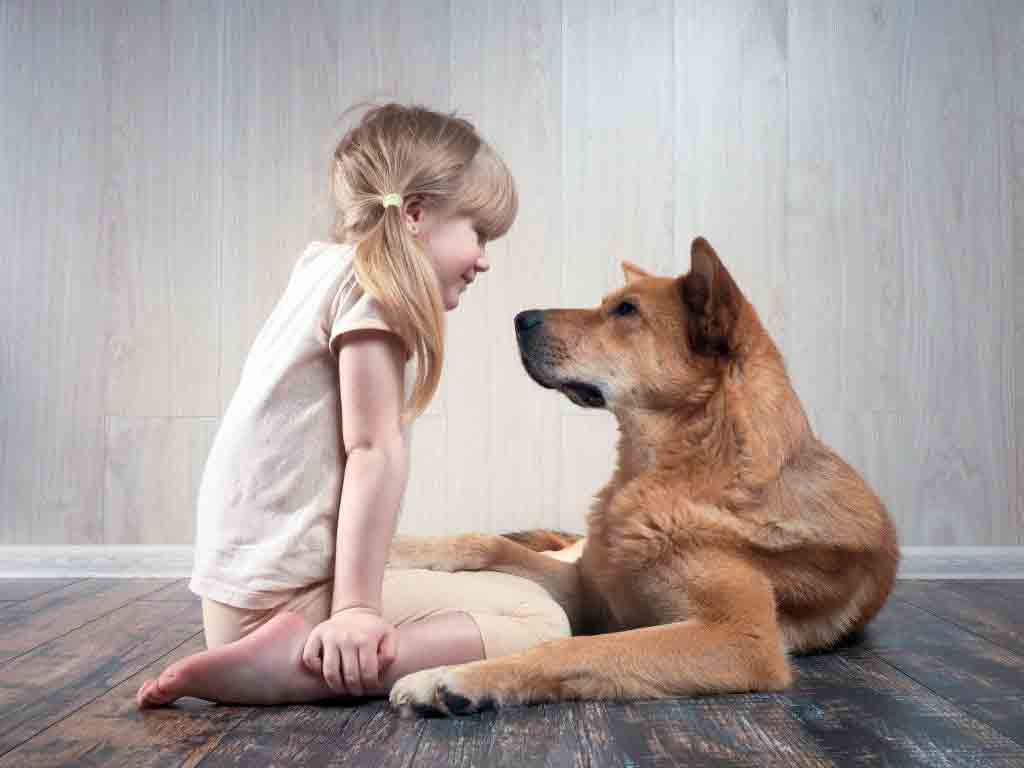 active-listening Active listening skills: eye contact, proximity and non-judgement